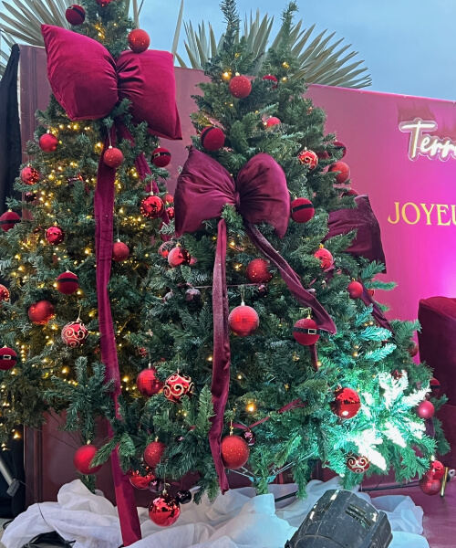 decoration de noel pour terroubi